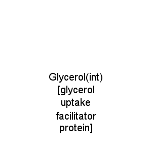 Glycerol(int) [glycerol uptake facilitator protein]